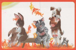 GATO GATITO Animales Vintage Tarjeta Postal CPSM #PAM392.A - Cats