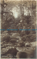 R042699 Dartmoor. Becky Falls. Photochrom. No 71153. RP - Wereld