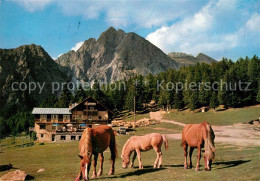 73234374 Hafling Albergo Rosa Alpina Haflinger Pferde Hafling - Other & Unclassified