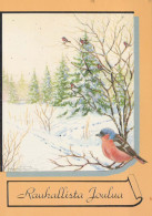 UCCELLO Animale Vintage Cartolina CPSM #PBR521.A - Pájaros