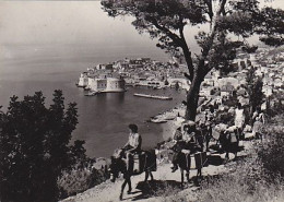 AK 210733 CROATIA - Dubrovnik - Croatie