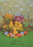 PÂQUES ŒUF Vintage Carte Postale CPSM #PBO189.A - Easter