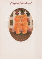 OSO Animales Vintage Tarjeta Postal CPSM #PBS356.A - Bären