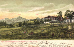 GAIS, APPENZELL, ARCHITECTURE, COWS, SWITZERLAND, POSTCARD - Gais