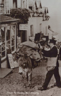 ASINO Animale Vintage CPA Cartolina #PAA275.A - Esel