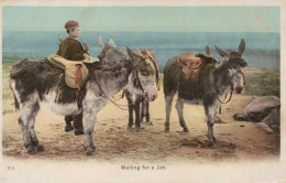 ÂNE Animaux Enfants Vintage Antique CPA Carte Postale #PAA331.A - Donkeys