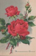 FIORI Vintage Cartolina CPSMPF #PKG011.A - Fleurs