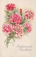 FLEURS Vintage Carte Postale CPA #PKE514.A - Flores