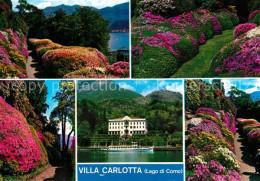 73230950 Lago Di Como Villa Carlotta Park Blumenpracht Lago Di Como - Other & Unclassified