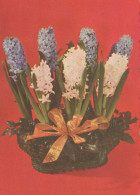 FLOWERS Vintage Ansichtskarte Postkarte CPA #PKE532.DE - Blumen