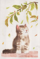 KATZE MIEZEKATZE Tier Vintage Ansichtskarte Postkarte CPSM #PBQ752.DE - Chats