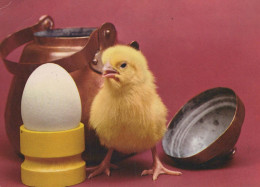 OSTERN HUHN EI Vintage Ansichtskarte Postkarte CPSM #PBP085.DE - Pasqua