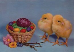 OSTERN HUHN EI Vintage Ansichtskarte Postkarte CPSM #PBO894.DE - Ostern