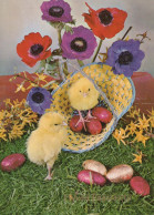 OSTERN HUHN EI Vintage Ansichtskarte Postkarte CPSM #PBO644.DE - Easter