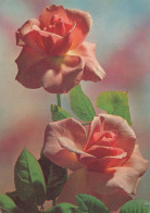 FLOWERS Vintage Ansichtskarte Postkarte CPSM #PAS131.DE - Blumen