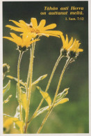 FLOWERS Vintage Ansichtskarte Postkarte CPSM #PAR470.DE - Fleurs