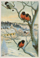 VOGEL Tier Vintage Ansichtskarte Postkarte CPSM #PAM840.DE - Vögel