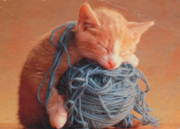 KATZE MIEZEKATZE Tier Vintage Ansichtskarte Postkarte CPSM #PAM089.DE - Cats