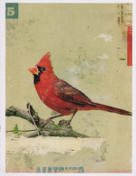 PÁJARO Animales Vintage Tarjeta Postal CPSM #PBR655.ES - Birds