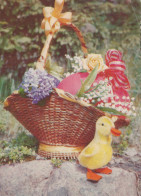 PASCUA POLLO HUEVO Vintage Tarjeta Postal CPSM #PBP020.ES - Easter