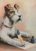 PERRO Animales Vintage Tarjeta Postal CPSM #PAN852.ES - Perros