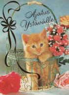 GATO GATITO Animales Vintage Tarjeta Postal CPSM #PAM087.ES - Cats