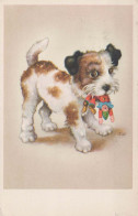 CHIEN Animaux Vintage Carte Postale CPA #PKE778.FR - Chiens