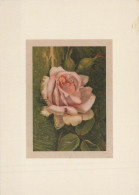 FLEURS Vintage Carte Postale CPSM #PBZ657.FR - Flores