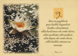 FLEURS Vintage Carte Postale CPSM #PBZ057.FR - Fleurs