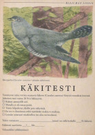 OISEAU Animaux Vintage Carte Postale CPSM #PBR719.FR - Birds