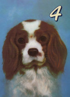 CHIEN Animaux Vintage Carte Postale CPSM #PBQ618.FR - Dogs
