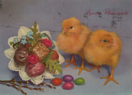 PÂQUES POULET ŒUF Vintage Carte Postale CPSM #PBO893.FR - Ostern