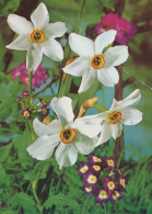 FLEURS Vintage Carte Postale CPSM #PAS430.FR - Fiori