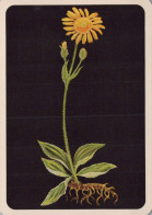 FLEURS Vintage Carte Postale CPSM #PAR469.FR - Flowers