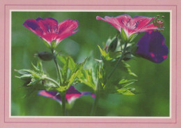 FLEURS Vintage Carte Postale CPSM #PAR529.FR - Blumen