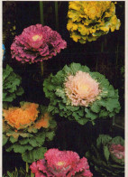 FLEURS Vintage Carte Postale CPSM #PAR168.FR - Flowers