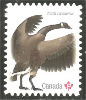 Canada Oie Goose Geese Gans Oca Ganso Annual Collection Annuelle MNH ** Neuf SC (C31-17db) - Ganzen