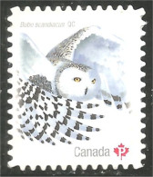 Canada Hibou Chouette Owl Eule Gufo Uil Buho Annual Collection Annuelle MNH ** Neuf SC (C31-17bb) - Aquile & Rapaci Diurni