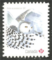 Canada Hibou Chouette Owl Eule Gufo Uil Buho Annual Collection Annuelle MNH ** Neuf SC (C31-17ba) - Nuovi