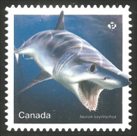 Canada 3110i Shark Requin Hai Squalo Tiburón Annual Collection Annuelle MNH ** Neuf SC (C31-10ia) - Nuovi