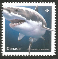 Canada 3106i Shark Requin Hai Squalo Tiburón Annual Collection Annuelle MNH ** Neuf SC (C31-06ia) - Nuovi