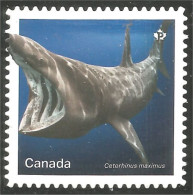 Canada 3107i Shark Requin Hai Squalo Tiburón Annual Collection Annuelle MNH ** Neuf SC (C31-07ia) - Unused Stamps