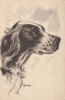 DOG Animals Vintage Postcard CPA #PKE776.GB - Perros