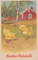 EASTER CHICKEN EGG Vintage Postcard CPA #PKE274.GB - Pasqua