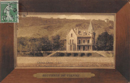 CPA 14 SOUVENIR DE VIENNE CHATEAU CHINOIS - Vienne