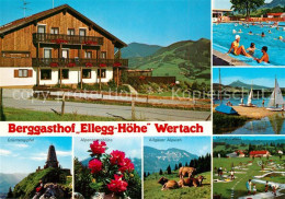 73228428 Oberellegg Wertach Berggasthof Ellegg Hoehe Gruentengipfel Alpenrosenbl - Autres & Non Classés