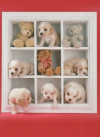 DOG Animals Vintage Postcard CPSM #PBQ346.GB - Hunde