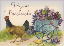 EASTER CHICKEN Vintage Postcard CPSM #PBO891.GB - Ostern