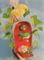 EASTER CHICKEN EGG Vintage Postcard CPSM #PBP081.GB - Pasqua