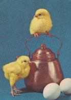 EASTER CHICKEN EGG Vintage Postcard CPSM #PBO763.GB - Ostern